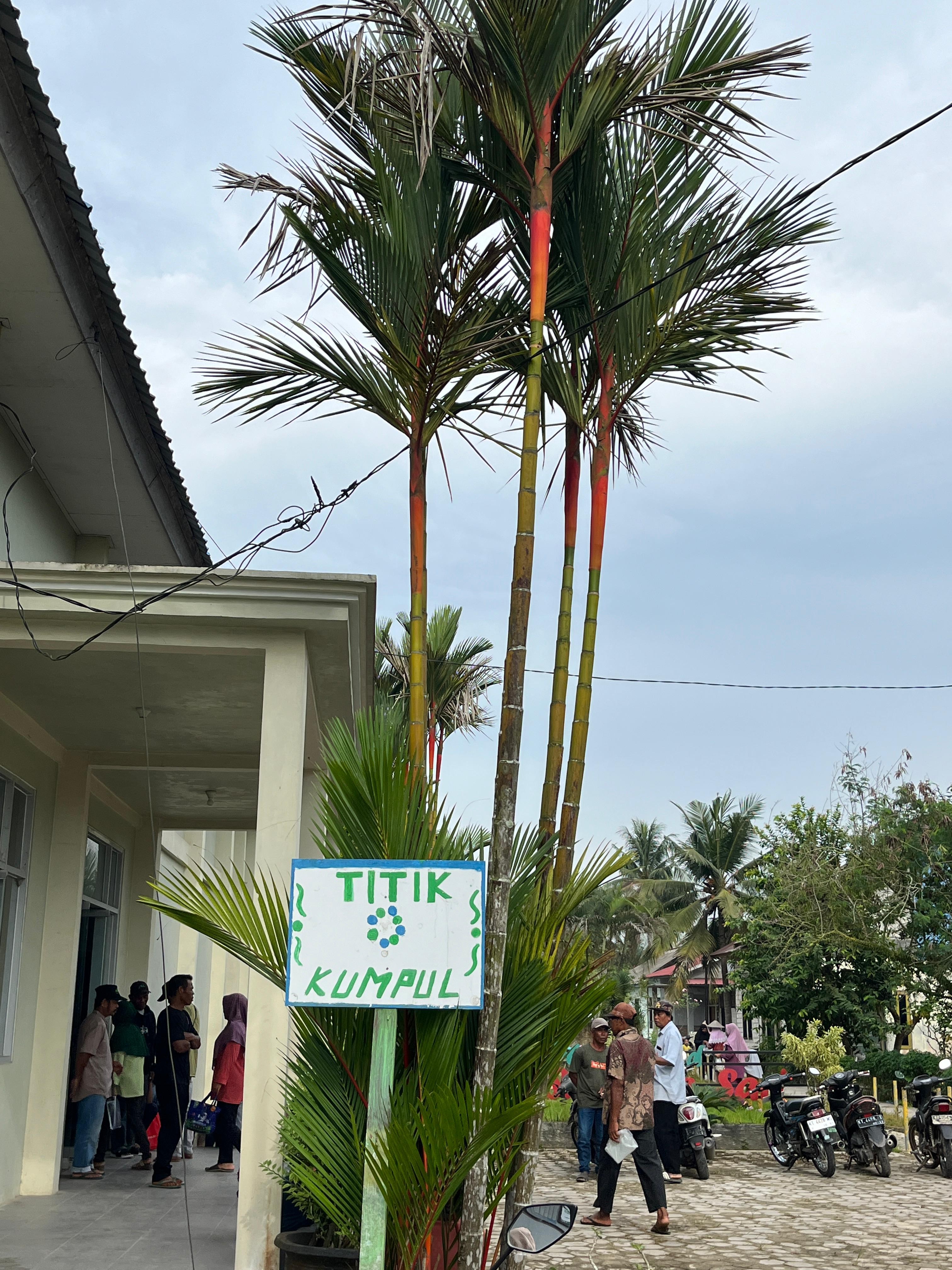 signboards-dcef0db0-82e6-11f0-adb4-5bb967133fc1